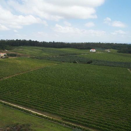 Quinta da Fogueira Anadia Exterior foto